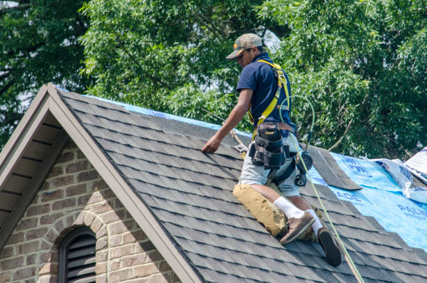 Best Gutter Installation and Roofing  in Blairsville, PA